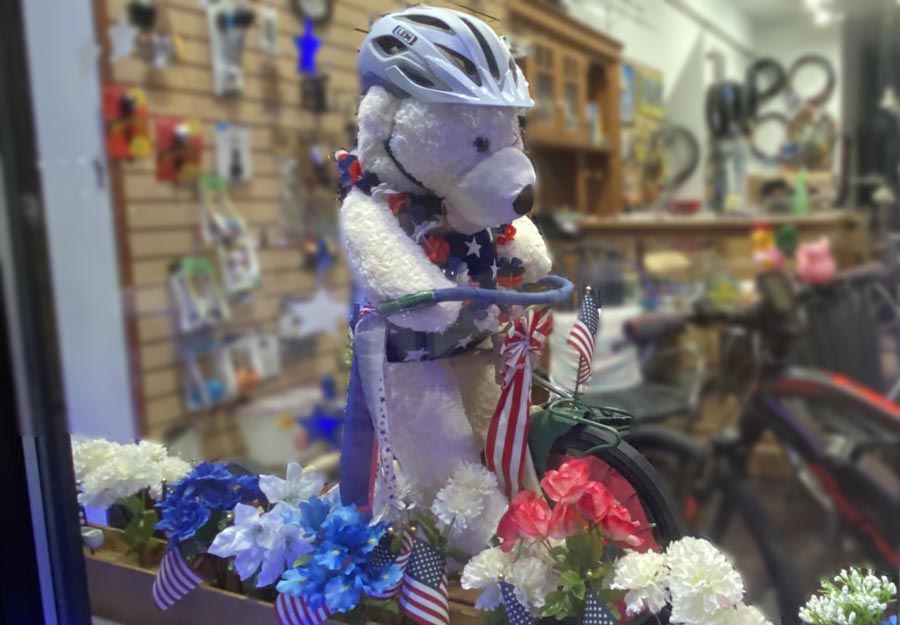 Stuff bear wearing a helemt riding a tricycle among red/white/blue flowers