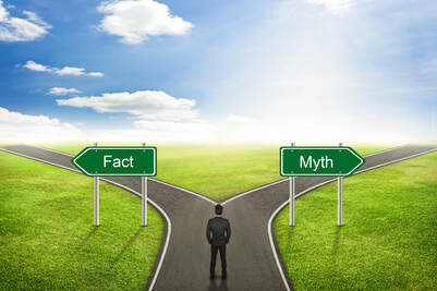 Man standing at a fork in the road choosing between fact or myth