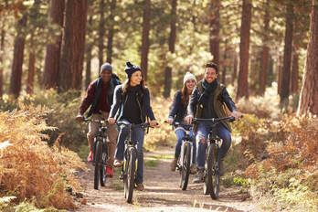 Four cyclists biking on a wooded path