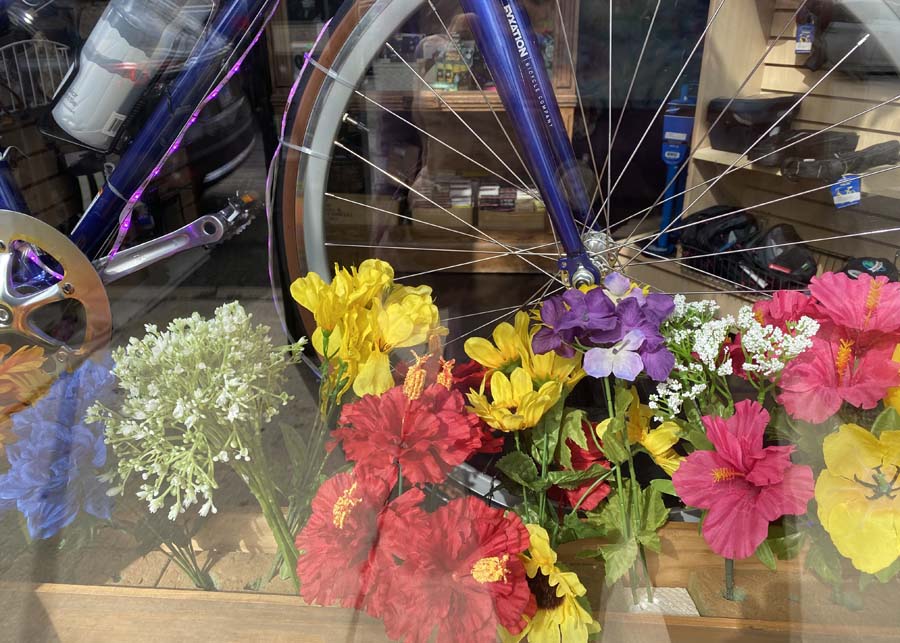 Flowers and bike in window at Earth Rider